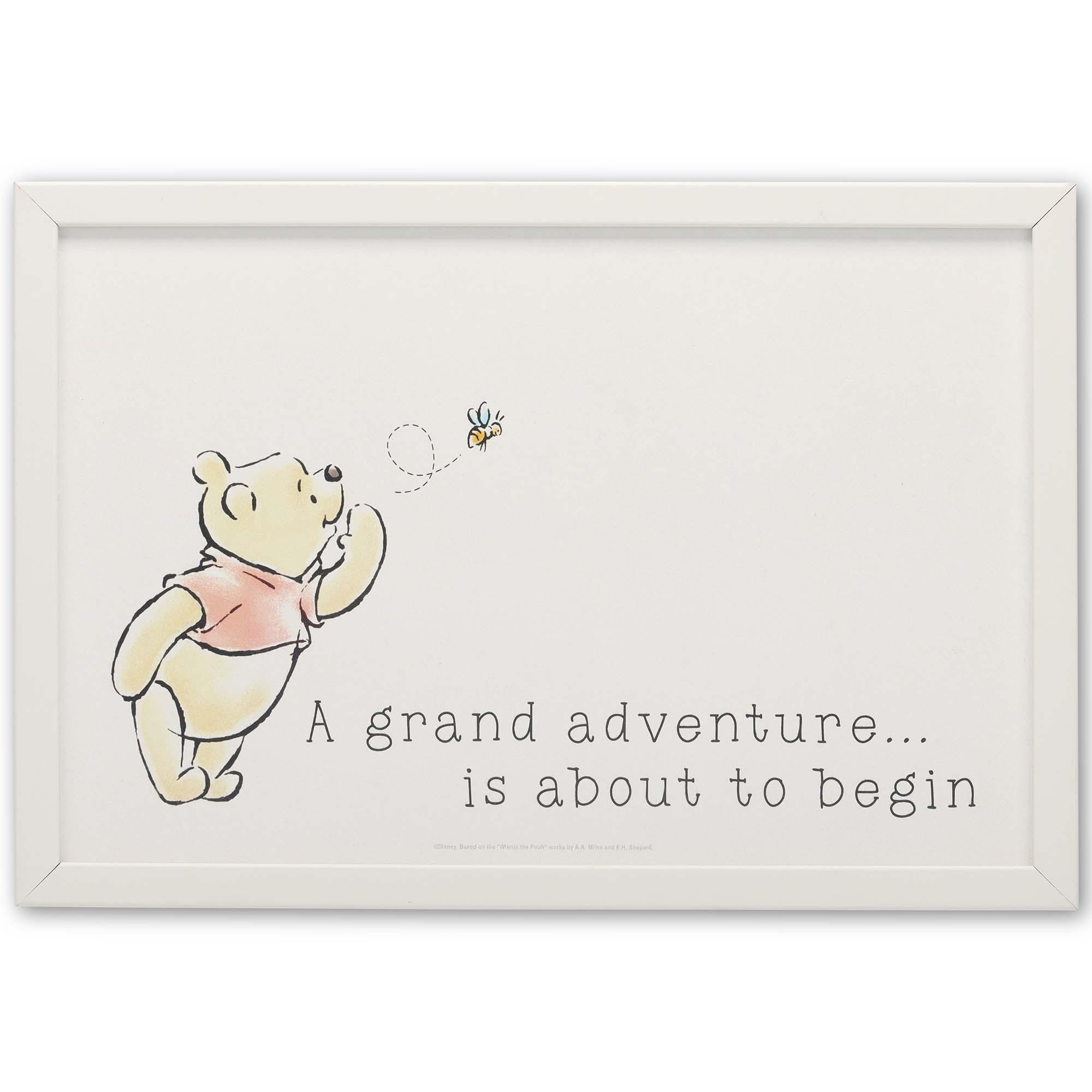 Disney Grand Adventure Wooden Wall Decor image