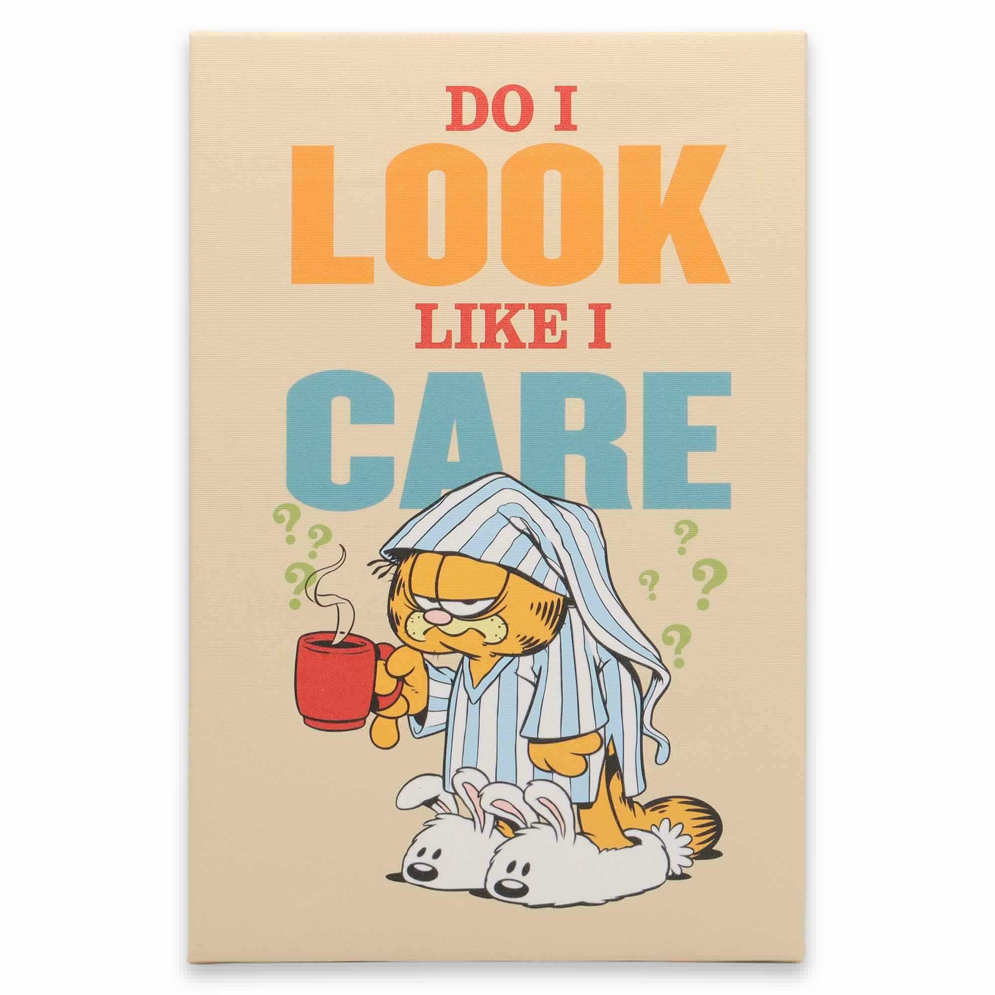 Viacom Garfield Do I Look Like I Care Canvas Wall decor image