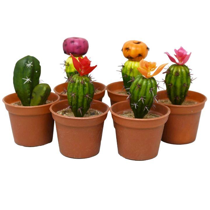 24 Wholesale Assorted Mini Cactus in Pot Plastic image