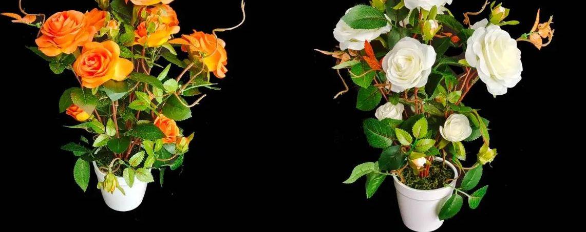12 Wholesale 15 Inch 6rose With White Vase image