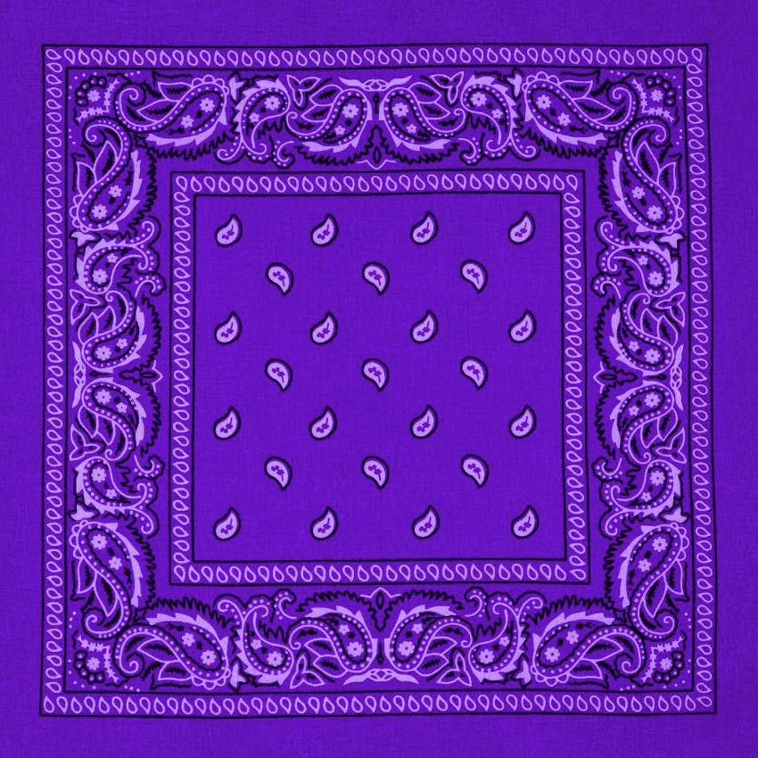 12 Wholesale Purple Paisley Print Polyester Bandanas image