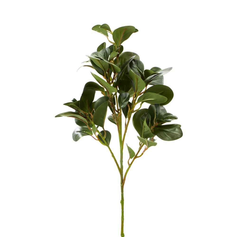 12 Wholesale Artificial Magnolia Leaf Spray image