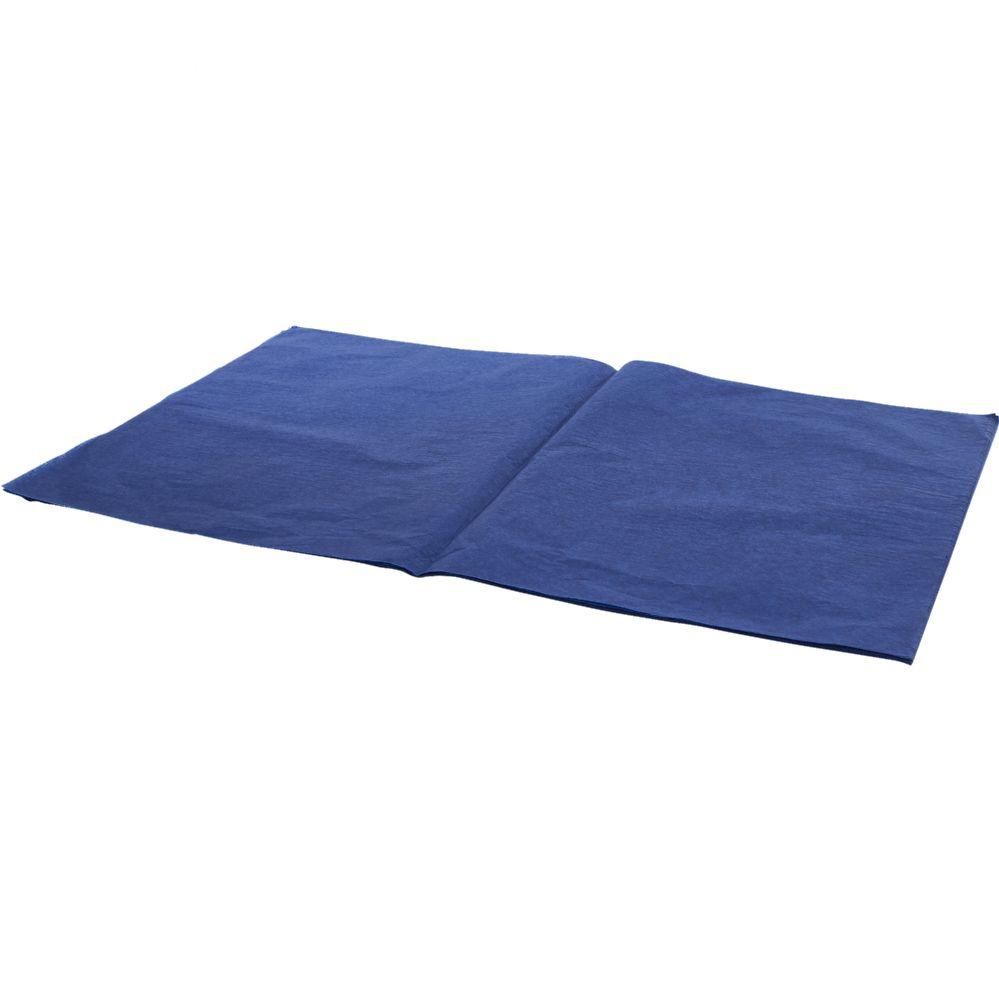 24 Wholesale Floral, Craft, Gift Tissue Paper 20 in X 28 in 50pc/bag - Royal Blue image
