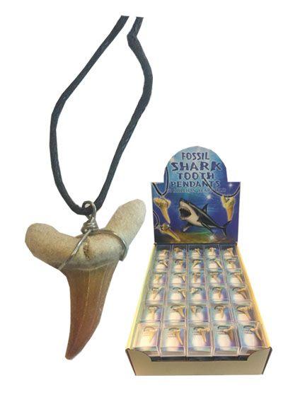 90 Wholesale Fossil Shark Tooth Necklace image