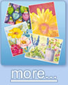 Wholesale Greeting Cards