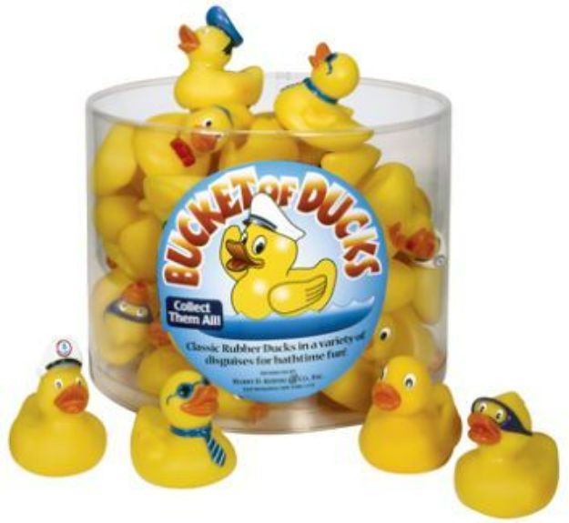 Bucket O' Ducks