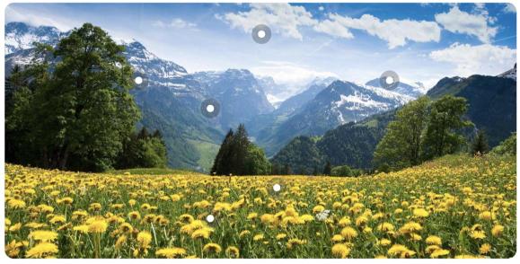 Mountain Valley Trading featured image