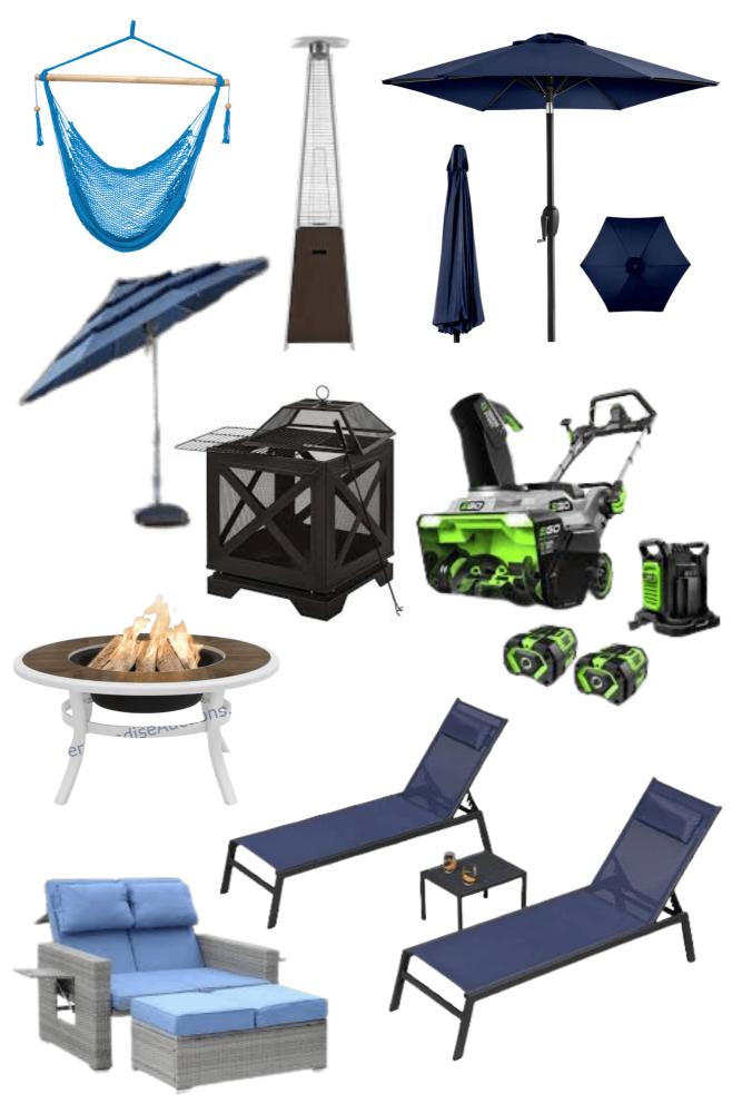 Previous Auction Items