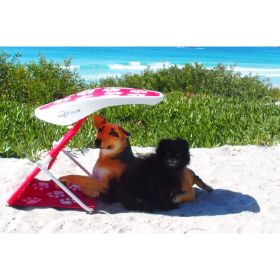 Red dog canopy. One size fits all.
