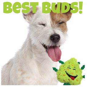 Bud the Weed Nug 420 Dog Toy