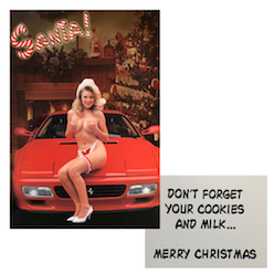 Adult Christmas Card HO HO HO!