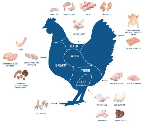 Wholesale Chicken Clean & Cuts