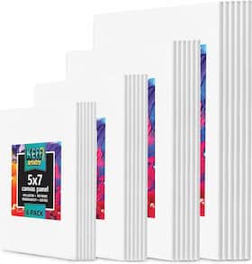 Canvases For Painting - 24 Pack