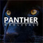Panther Trading Company Inc.