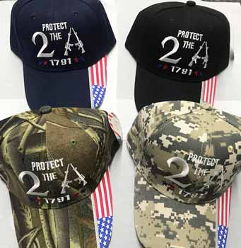 Protect the 2nd Amendment CAPS