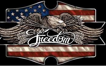 Freedom USA  3 x 5 FLAGs