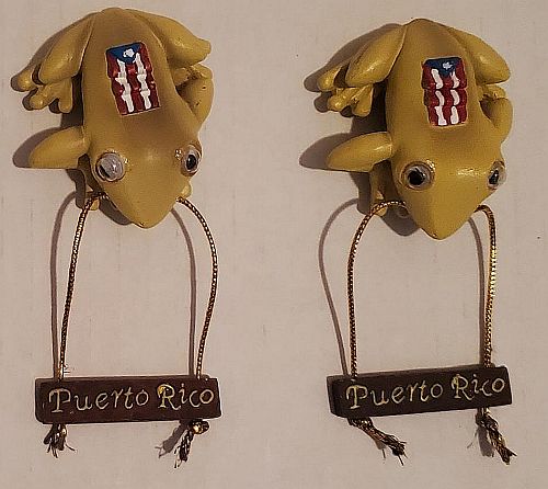 PUERTO RICO COQUI MAGNET