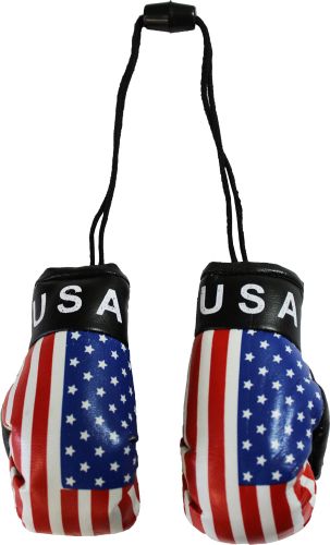 USA FLAG HANGING BOXING GLOVES