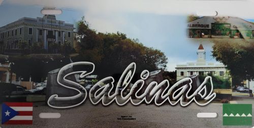 PUERTO RICO ''SALINAS'' FULL COLOR CAR LICENSE PLATE