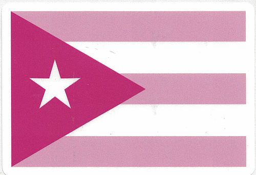 PUERTO RICO FLAG ''PINK'' CAR STICKER
