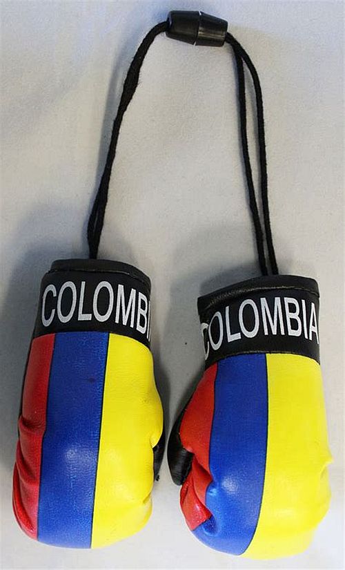 COLOMBIA FLAG HANGING BOXING GLOVES