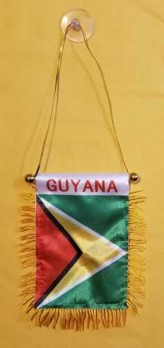 GUYANA FLAG MINI BANNER
