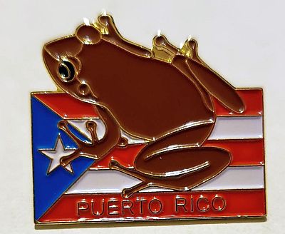 PUERTO RICO ''COQUI ON FLAG'' PIN