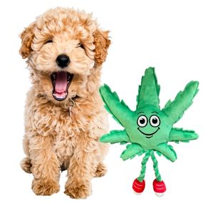 MJ the Marijuana Leaf 420 Dog Toy