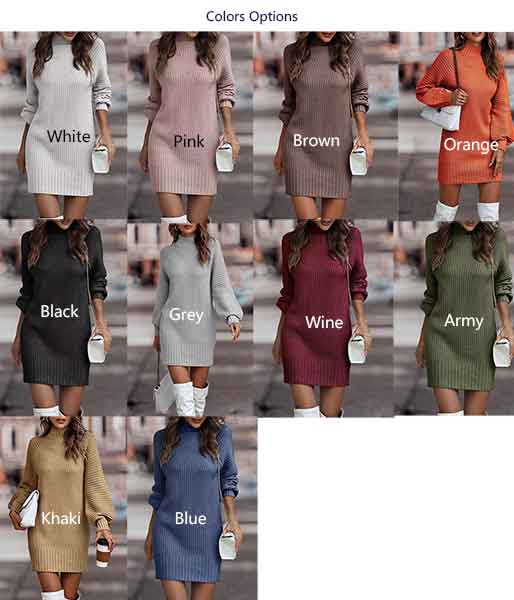 Turtle Neck Sweater DRESS Long Sleeve Casual Mini DRESS