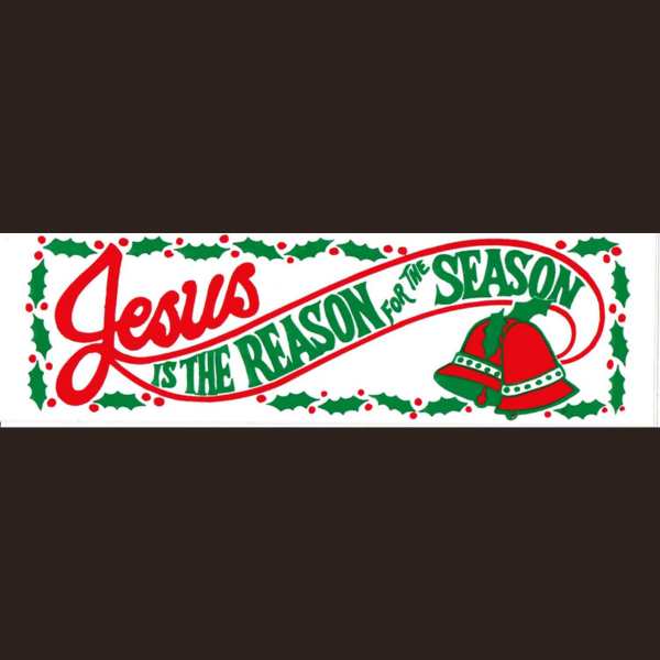 Jesus is the Reason Bumper STICKER