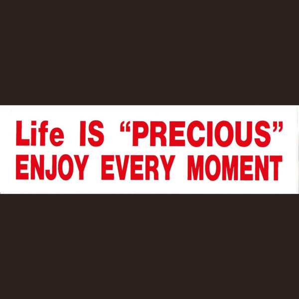 Bumper STICKER - Life Is Precious