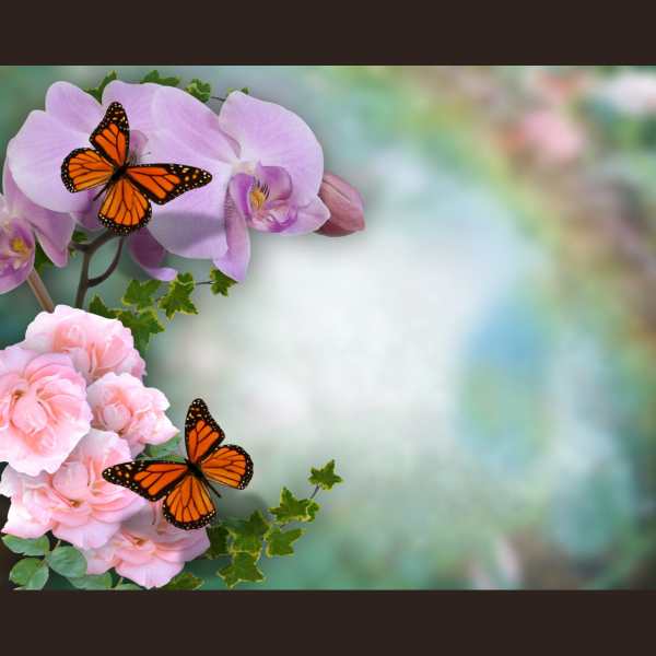 BUTTERFLIES AND FLOWERS ATTENDANCE CHART