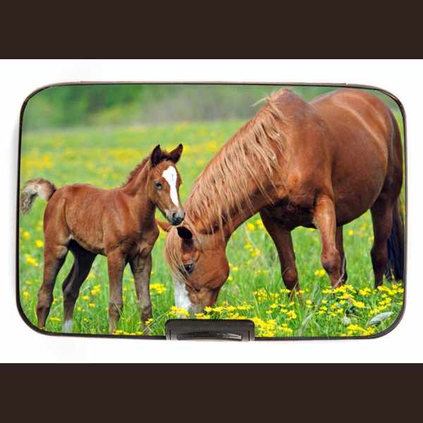 ARMORED WALLET - BAY WITH FOAL