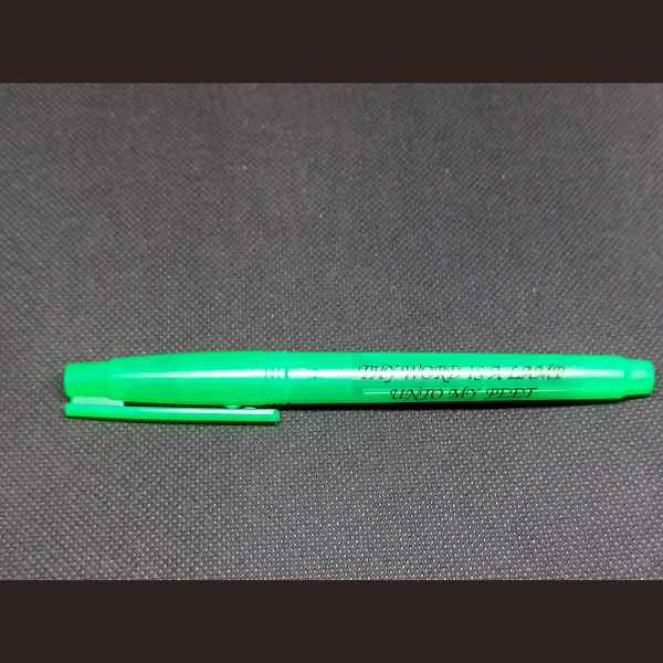 BIBLE HIGHLIGHTER - GREEN