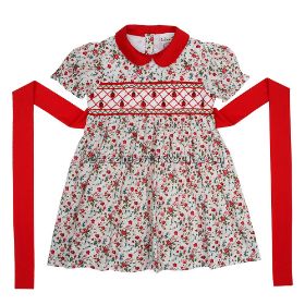 Pretty ladybug smocked DRESS