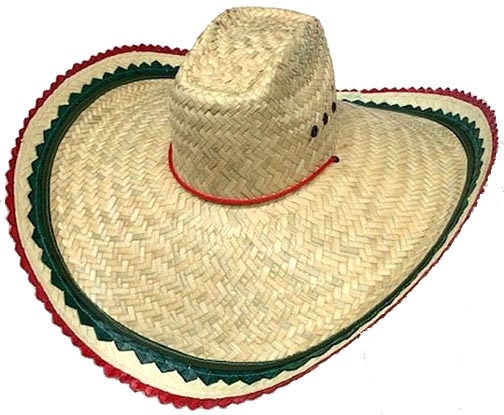 Speedy Gonzlaes Palm Hat Mexican FLAG Colors
