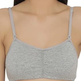 Beginner's BRA