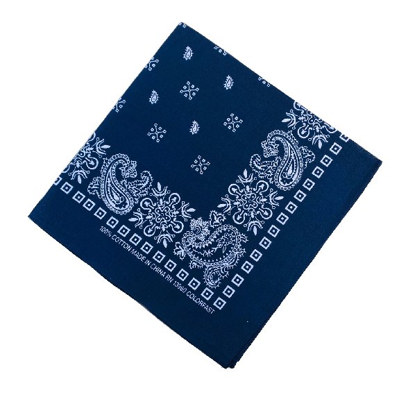 BANDANA-Navy Blue Paisley Print