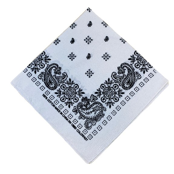 Bandana-White Paisley Print