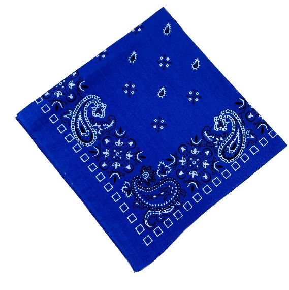 Bandana-Royal Blue Paisley Print