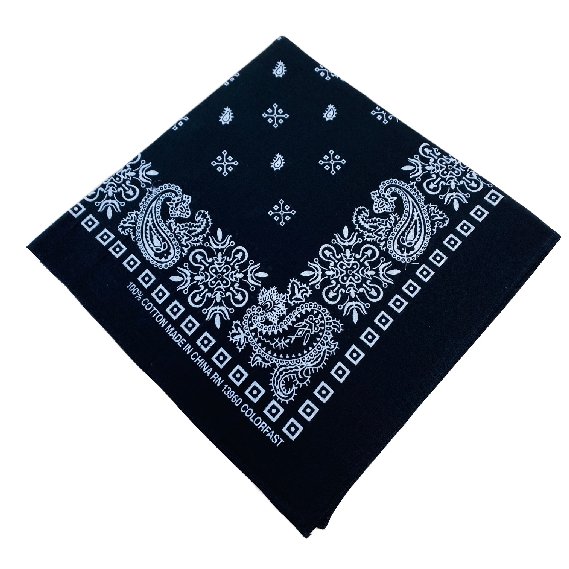 Bandana-Black Paisley Print