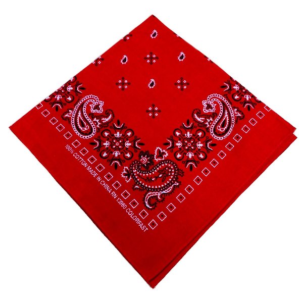 Bandana-Red Paisley Print