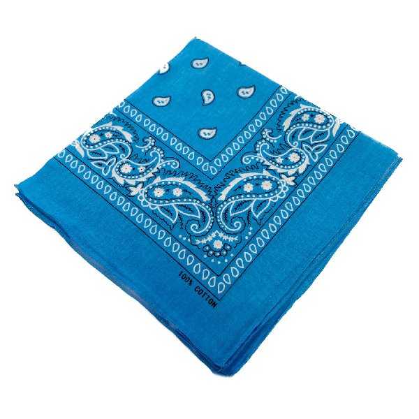 BANDANA-Light Blue Paisley