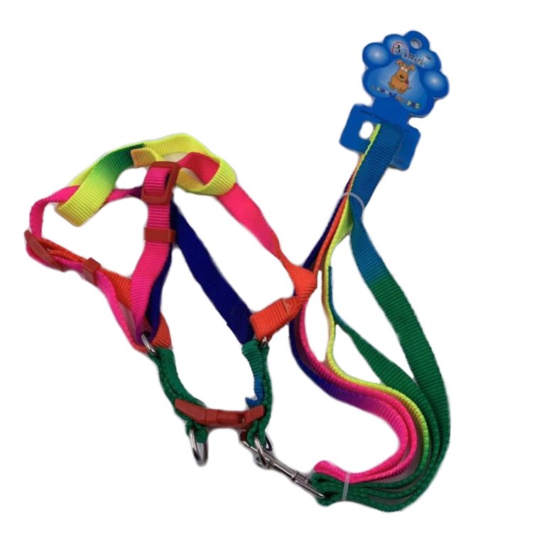 RAINBOW Dog Harness with 48'' Leash [Small-Thin]