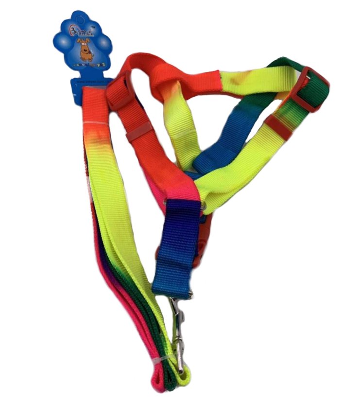 RAINBOW Dog Harness with 48'' Leash [Medium-Wide]