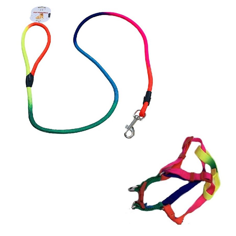 RAINBOW Dog Harness with 48'' Rope Leash [Small]
