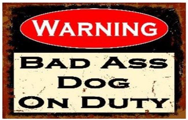 16''x12'' Metal Sign- Warning: Bad Ass DOG on Duty