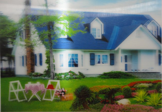 3D Picture 9546--Summer HouSe