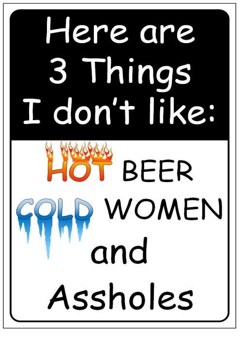 11.75''x8'' Metal Sign- Here Are 3 Things I Don't Like...