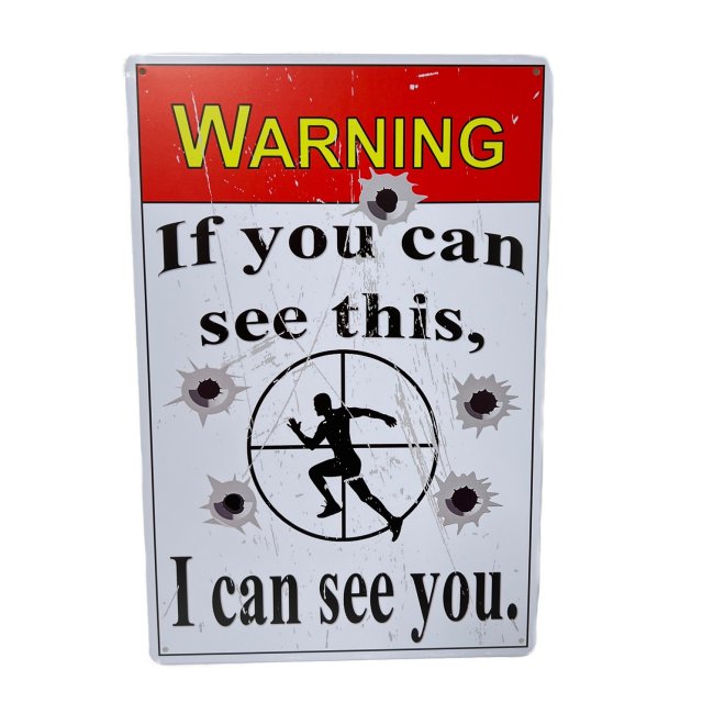 11.75''x8'' Metal Sign- Warning: If You Can See This, I Can See You